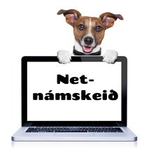 Netnámskeið 3 mánuðir