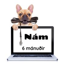 Fjarnám Hundaþjálfarans 6 mánuðir