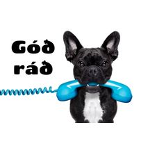 Ráðgjöf 