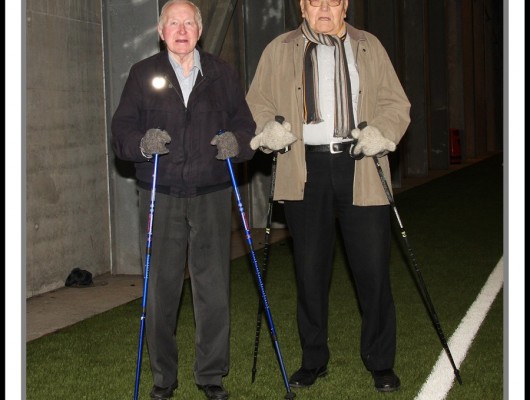 Bjarni_og_Hilmar_Ros_minni