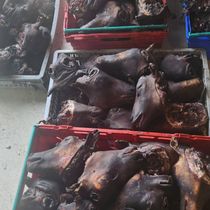 556882650-10231267281452476-4035744697369556206-n