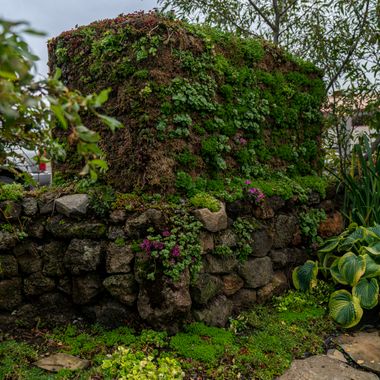 Græn þök og lóðréttir gróðurveggir