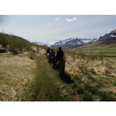 Gleði með hestum fyrir tvo 