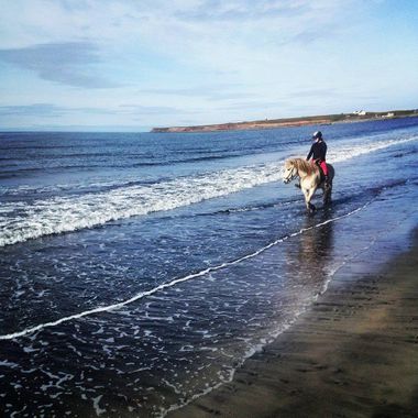 Riðið um svarta sanda fyrir einn