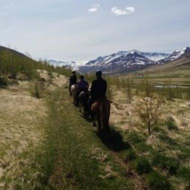 Víkingaferð fyrir einn 