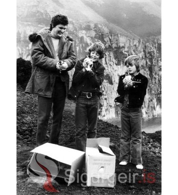 Andri, Ívar og Ólafur Darri.