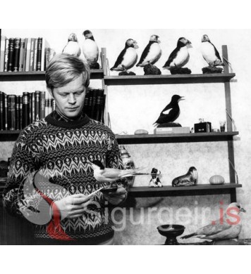 Óskar í Höfðanum.