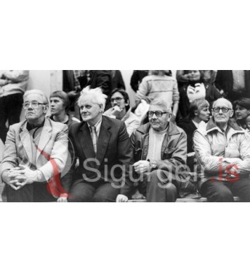 Sveinn, Húnbogi, Guðjón og Guðmundur. 