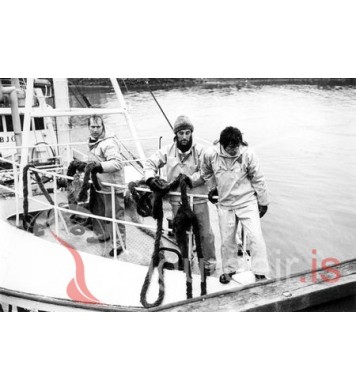 Sæbi, Jón og Kiddi.