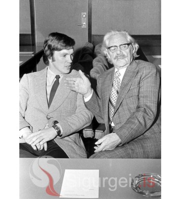 Kristmann Karls og Stebbi pól.