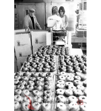 Í Vilberg-kökuhúsi.