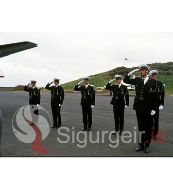 Lögreglan í Vestmannaeyjum.