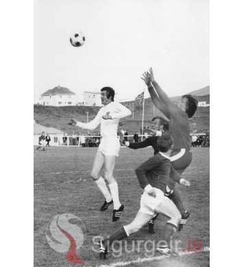 Haraldur Júlíusson.