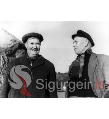 Valdi og Laugi Hall.