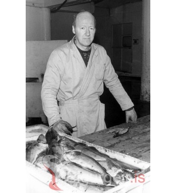 Þorkell Þorkelsson.