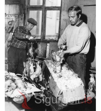 Leifi í Laufási og Ragnar í Bræðratungu.        