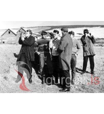 Stýrimannaskólinn í Vestmannaeyjum.