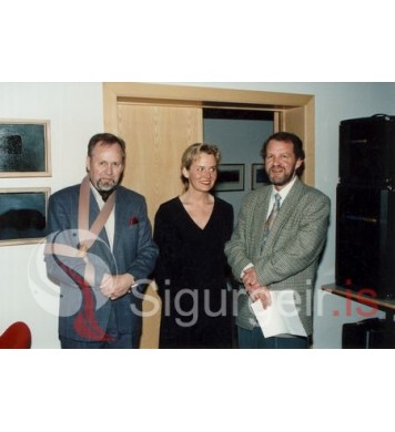 Dagar lita og tóna.