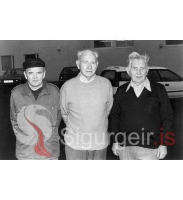 Starfsmenn Bæjarveitna Vestmannaeyja.