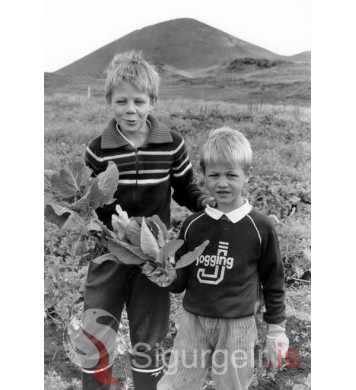 Bræðurnir Daði og Héðinn,