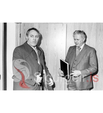 Bræðurnir Stebbi og Óli Run.