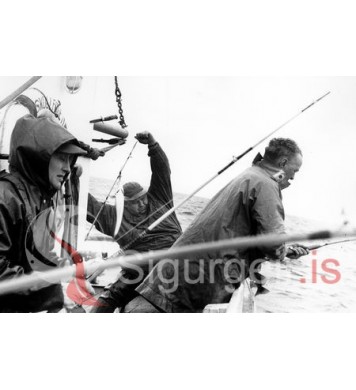 Sjóstangaveiðimót.