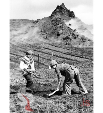 Sigga í Skuld og Sigrún.