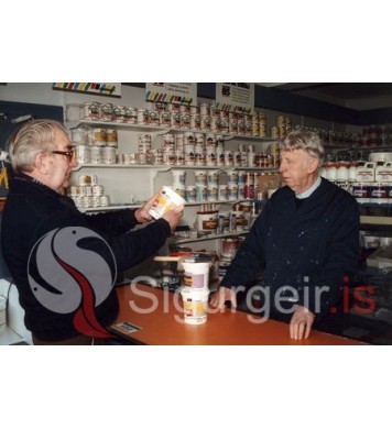 Ingvar í Skógum og Ragnar Engilberts.