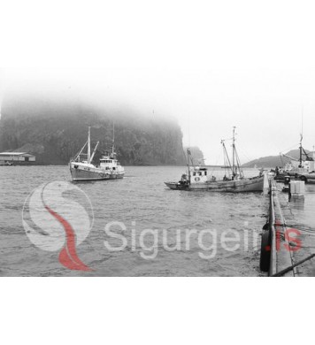 Gulborg VE-38 og Erlingur VE-295.