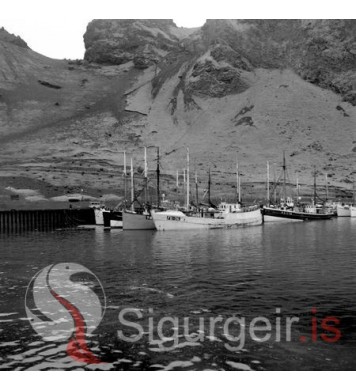Í Vestmannaeyjahöfn.