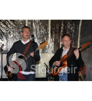 Goslokahátíð 2009. 