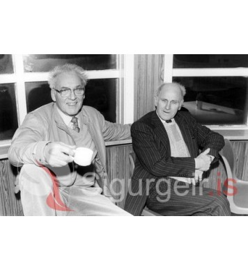 Bjössi á Barnum og Malli á Júlíunni.