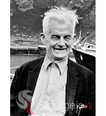 Júlli á Skjaldbreið.