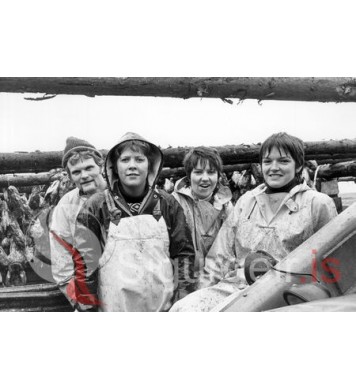 Unnið við skreið.