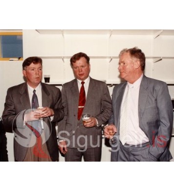 Sæli, Gummi og Kristinn Pálsson.