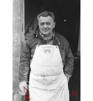 Haukur Guðmundsson.