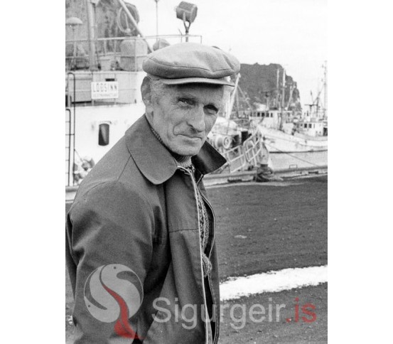 Elli í Varmadal.