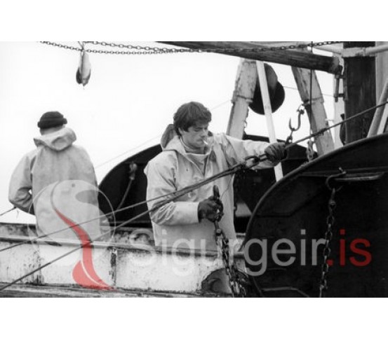 Um borð í Baldri VE-24.