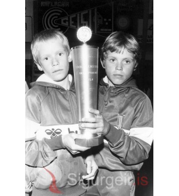 Hjalti og Hlynur Jóhannessynir.