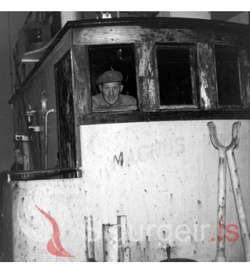 Ingvar Gíslason á Haukabergi.