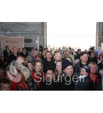 Goslokahátíð 2009.