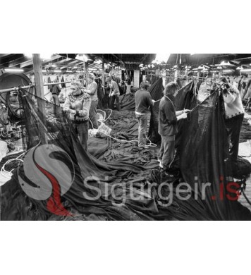 Netagerðin Ingólfur. 