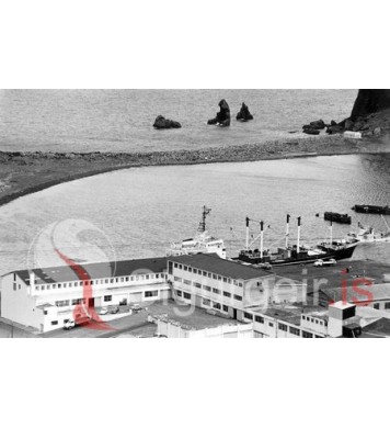 Vinnslustöð Vestmannaeyja.