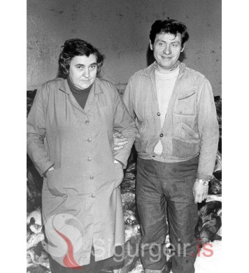 Nýja í Gíslholti og Ingi í Mjölni.