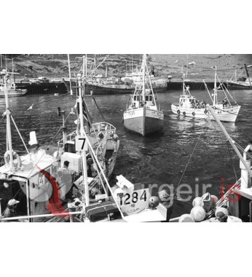 Sjóstangaveiðimót.