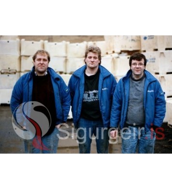 Bragi, Ægir og Silli.