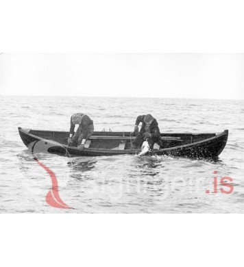 Vestmannaeyjar 1873.