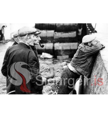 Mangi, Jón og Siggi í Viðey.