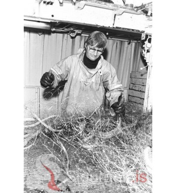 Matthías Sveinsson.