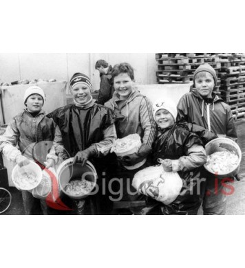 Gellupeyjar.